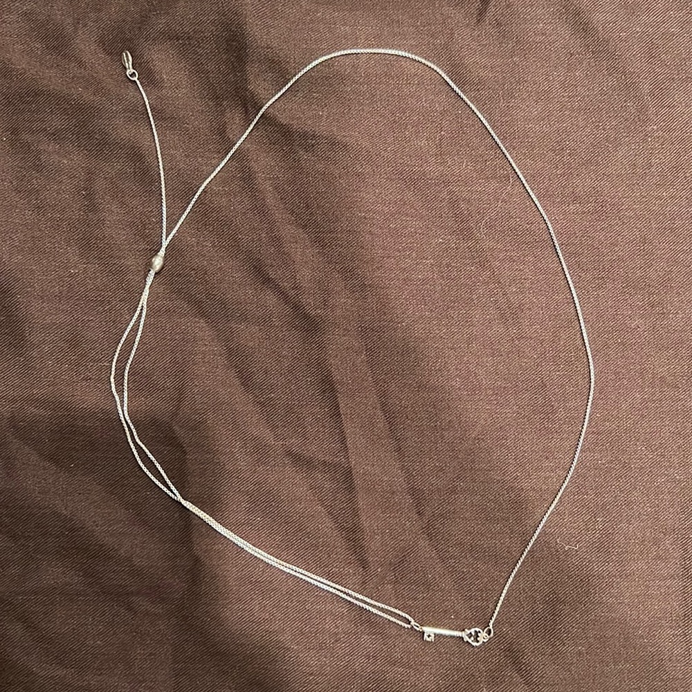 Alex and Ani adjustable key necklace